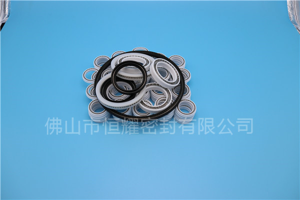 HOB、HVB孔用泛塞封 (7)