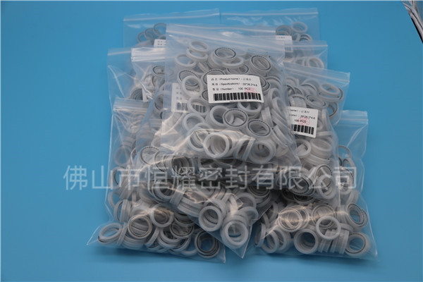 HOB、HVB孔用泛塞封 (17)