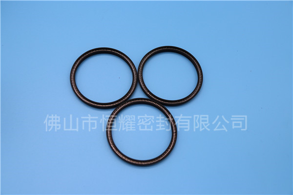 HOC、HVC孔轴两用泛塞封 (24)