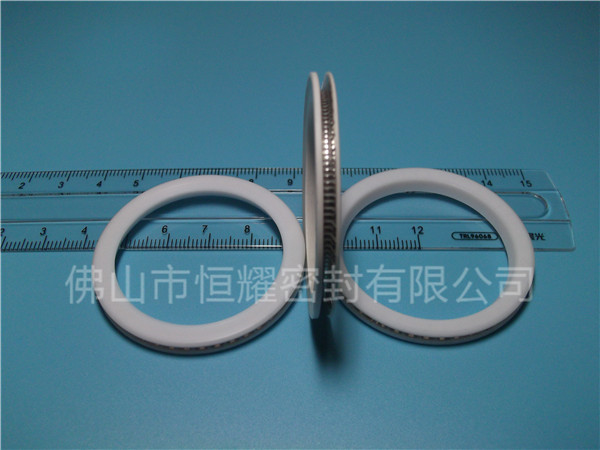 HVF、HVG端面内、外向泛塞封 (10)