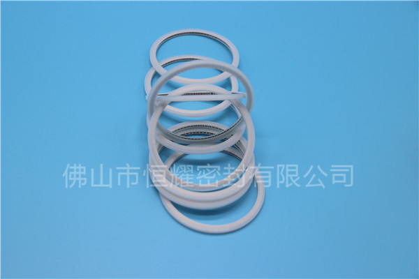 HVF、HVG端面内、外向泛塞封 (15)