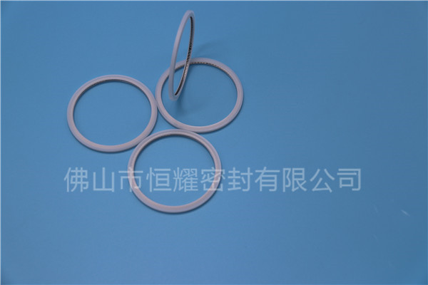 HVF、HVG端面内、外向泛塞封 (20)