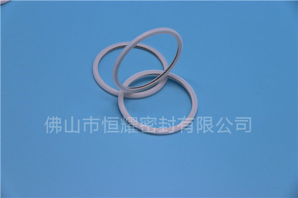 HVF、HVG端面内、外向泛塞封 (21)